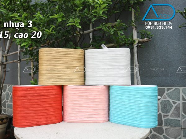 Hộp oval form, quấn nhựa 3