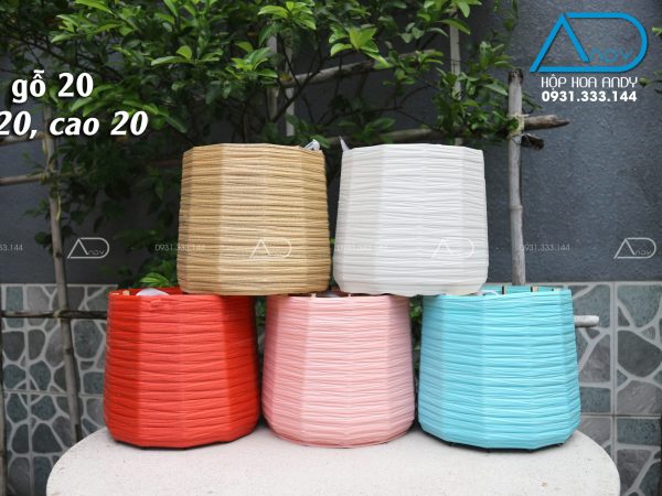 Hộp tròn gỗ, quấn nhựa 20
