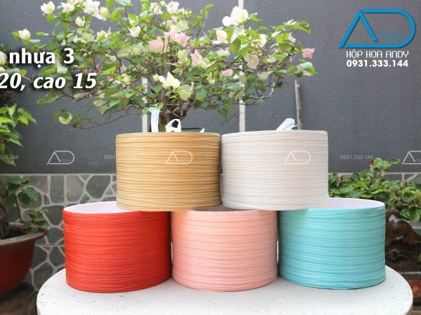 Hộp tròn form, quấn nhựa 3