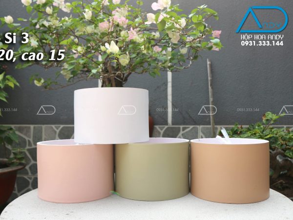 Hộp tròn simili 3