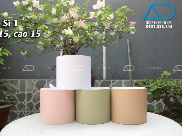 Hộp tròn simili 1