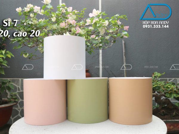 Hộp tròn simili 7